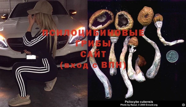 мяу мяу мука Абаза